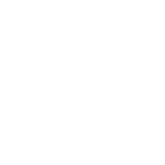 Rocoto Tech logo